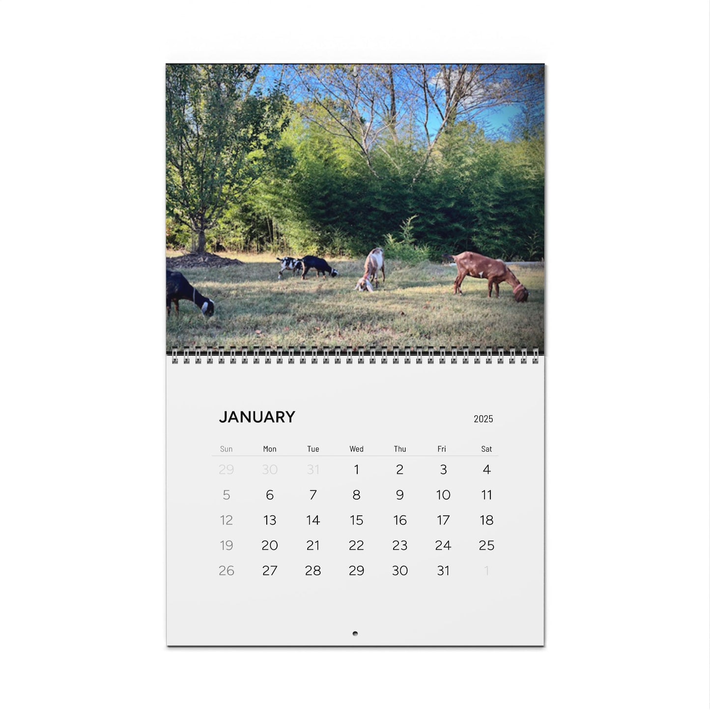 Gould Creek Farm - Wall Calendars (2025)