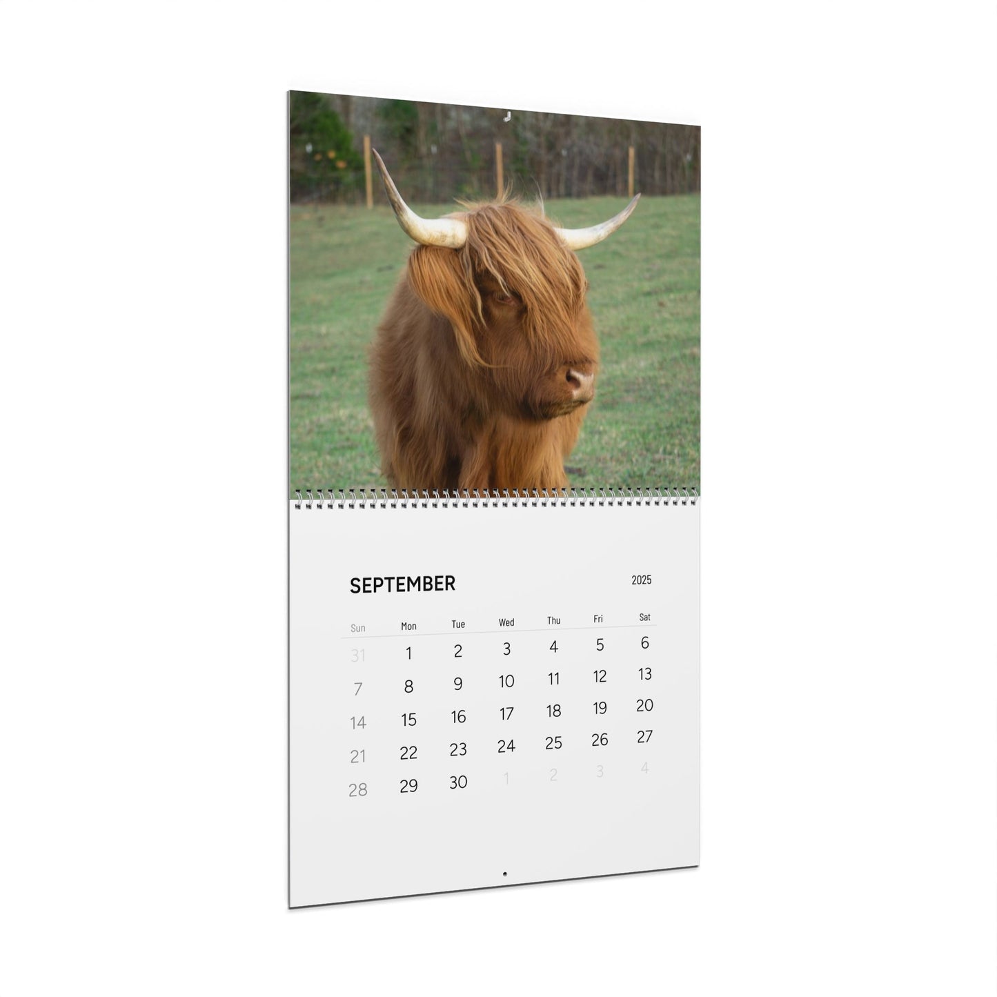 Whispering Dandelion Farm - Wall Calendars (2025)