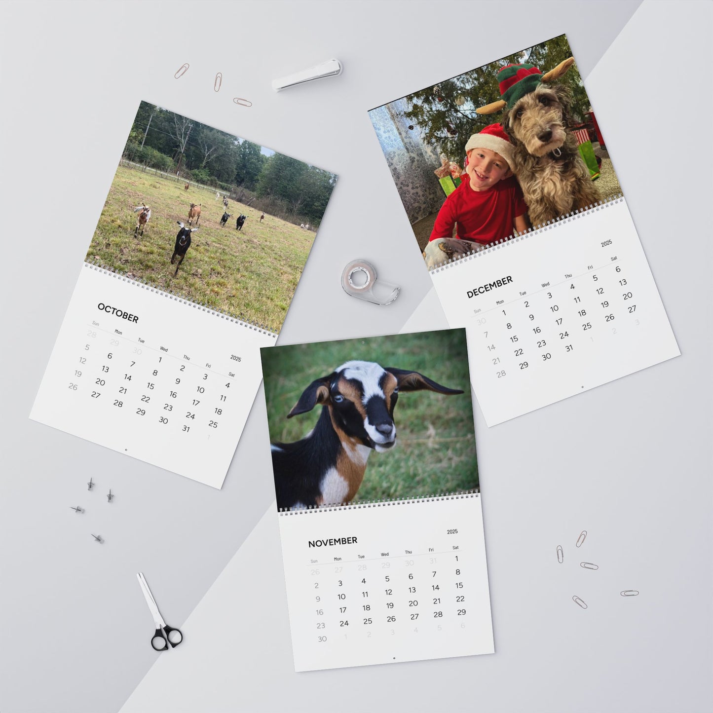 Gould Creek Farm - Wall Calendars (2025)