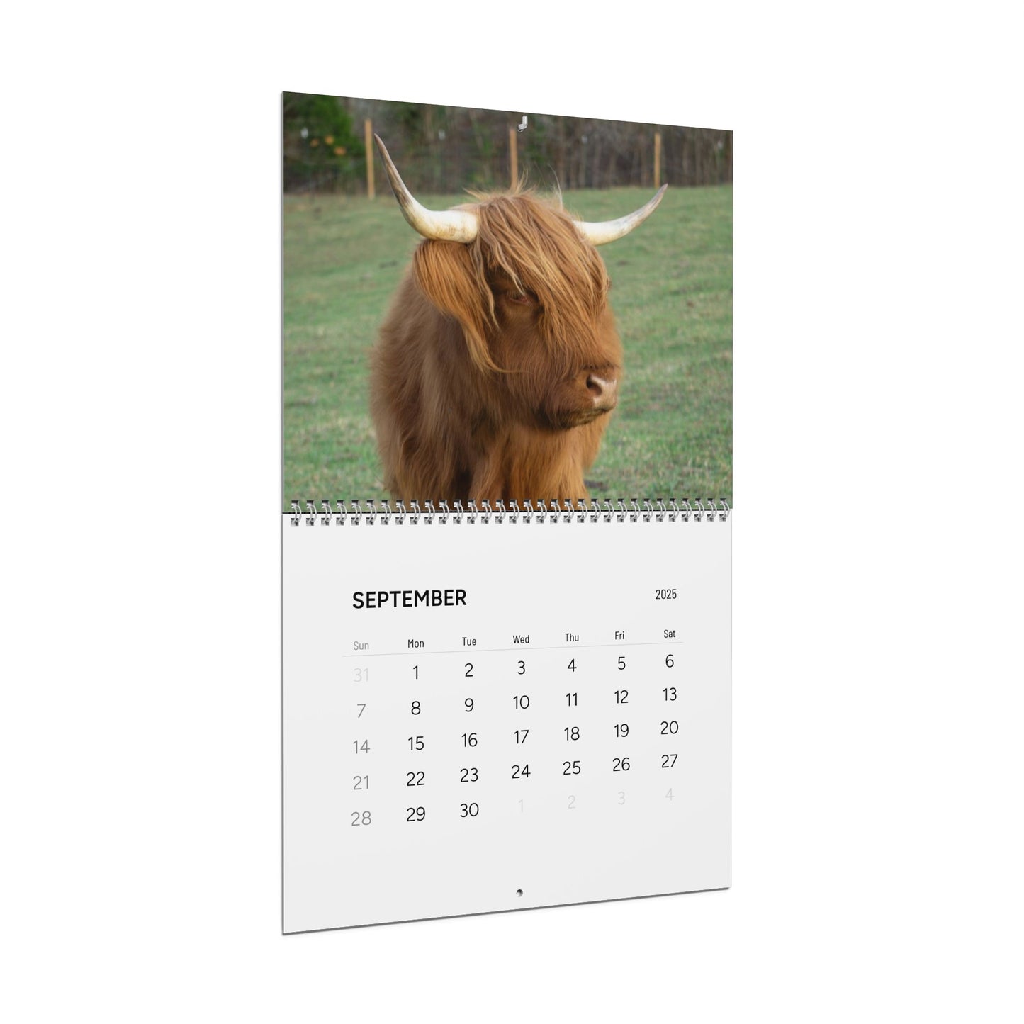 Whispering Dandelion Farm - Wall Calendars (2025)