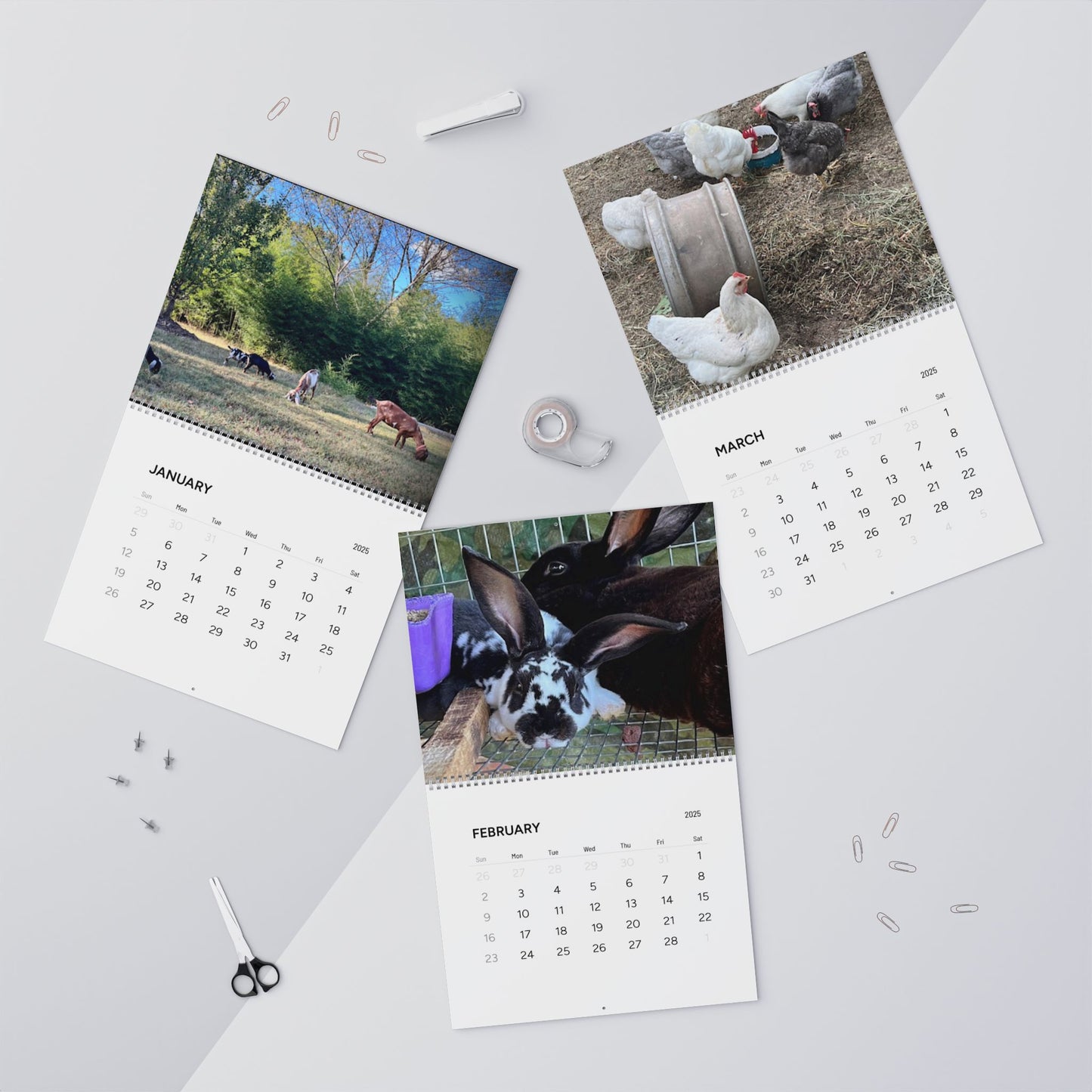 Gould Creek Farm - Wall Calendars (2025)