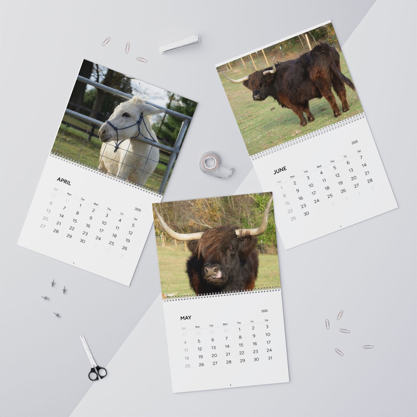 Whispering Dandelion Farm - Wall Calendars (2025)