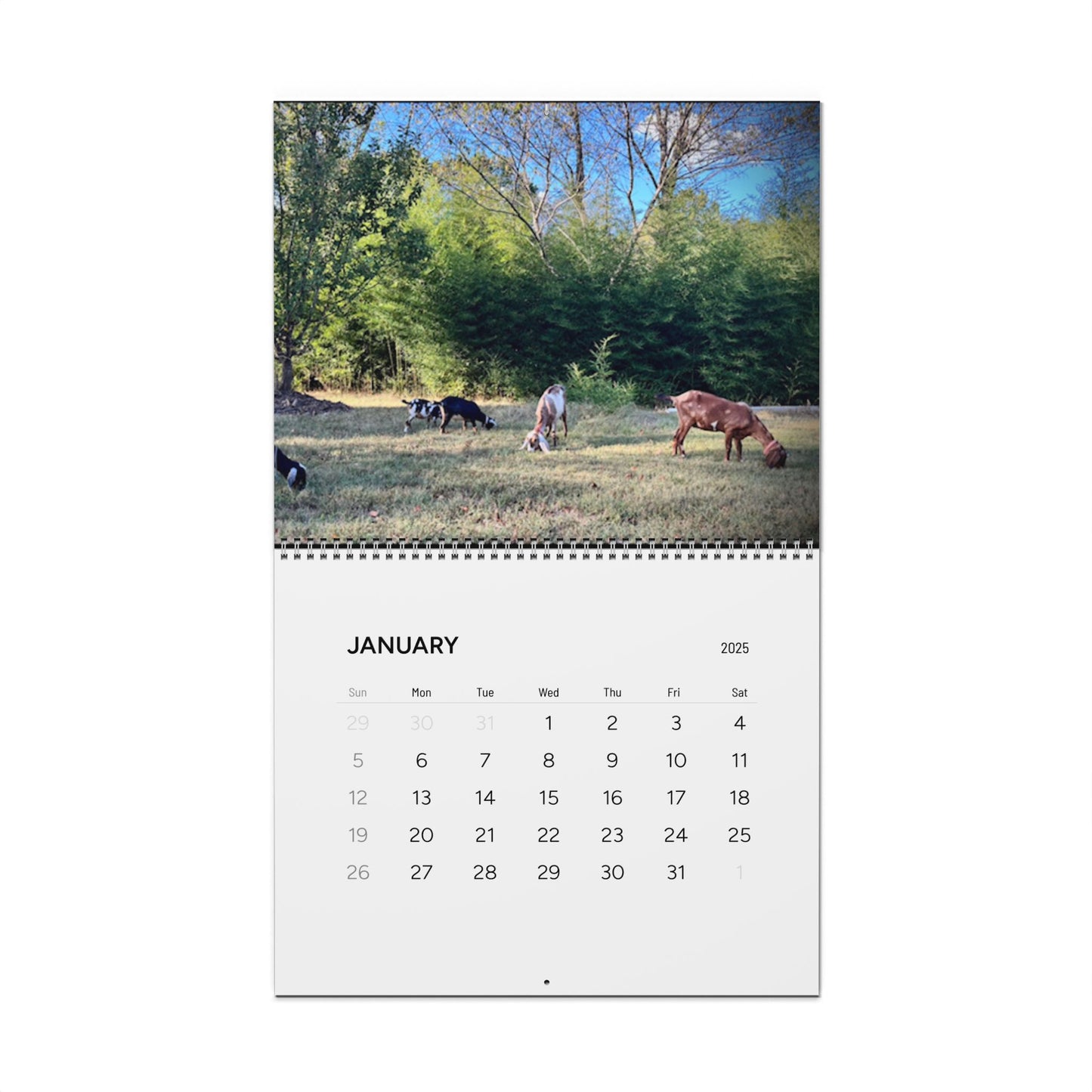 Gould Creek Farm - Wall Calendars (2025)