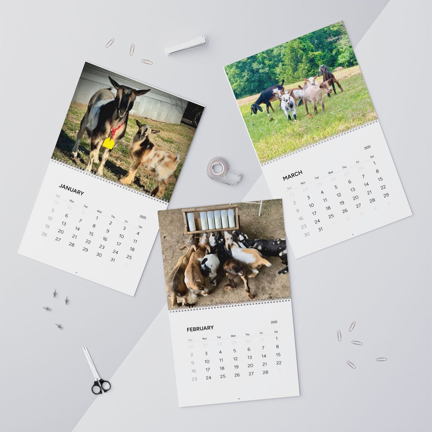 Garner Family Farm - Wall Calendars (2025)