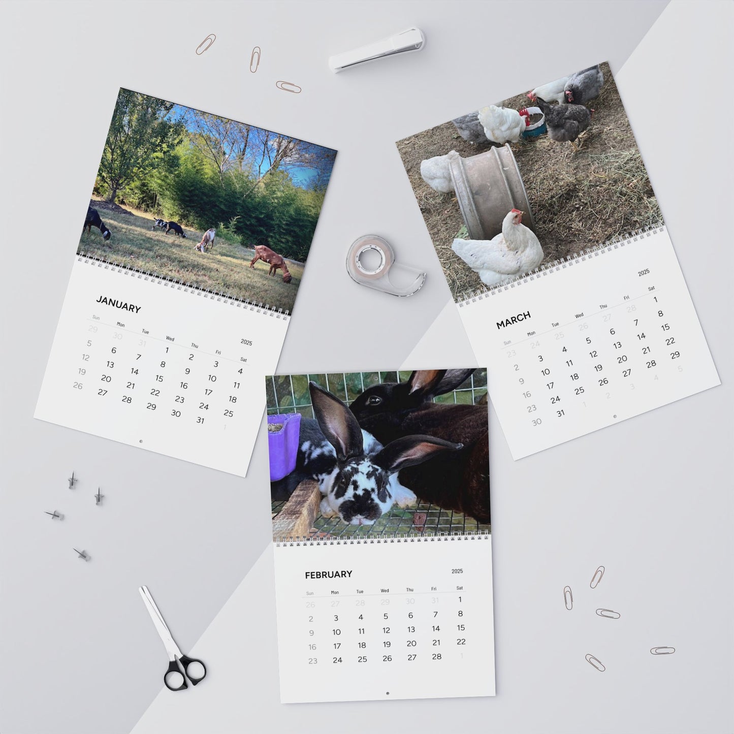 Gould Creek Farm - Wall Calendars (2025)