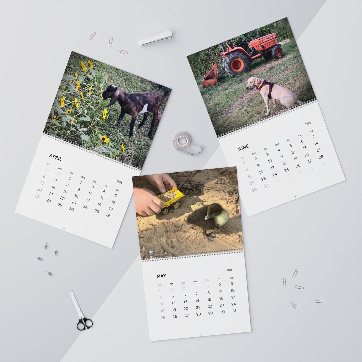 Gould Creek Farm - Wall Calendars (2025)